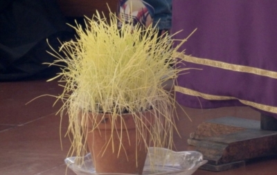 "Signore, mostraci il Padre e ci basta" - Quaresima 2016