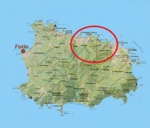 Terremoto ad Ischia.Il Cardinale Sepe indice la colletta nelle Parrocchie per il 10 settembre